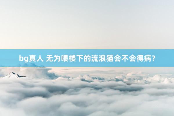 bg真人 无为喂楼下的流浪猫会不会得病？
