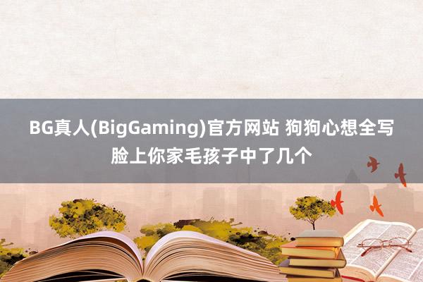 BG真人(BigGaming)官方网站 狗狗心想全写脸上你家毛孩子中了几个
