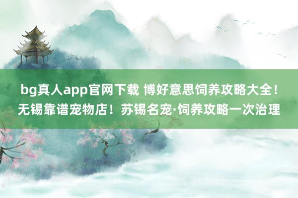 bg真人app官网下载 博好意思饲养攻略大全！无锡靠谱宠物店！苏锡名宠·饲养攻略一次治理