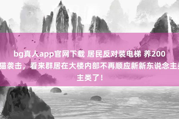bg真人app官网下载 居民反对装电梯 养200多只猫袭击，看来群居在大楼内部不再顺应新新东说念主类了！
