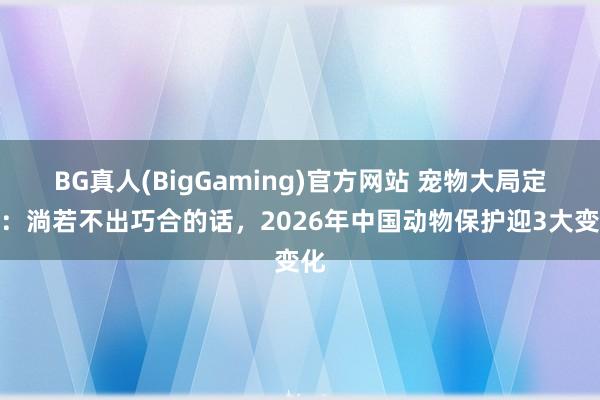 BG真人(BigGaming)官方网站 宠物大局定了：淌若不出巧合的话，2026年中国动物保护迎3大变化
