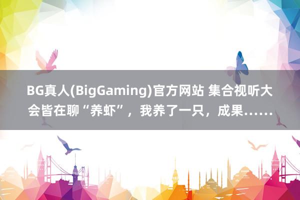 BG真人(BigGaming)官方网站 集合视听大会皆在聊“养虾”，我养了一只，成果……