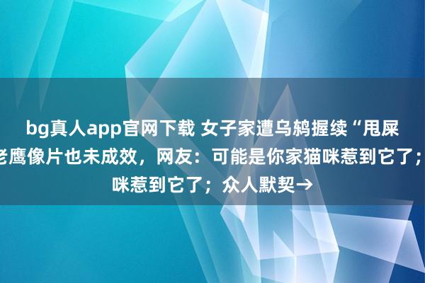 bg真人app官网下载 女子家遭乌鸫握续“甩屎”攻击，贴老鹰像片也未成效，网友：可能是你家猫咪惹到它了；众人默契→