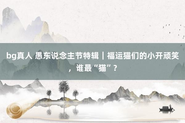 bg真人 愚东说念主节特辑｜福运猫们的小开顽笑，谁最“猫”？