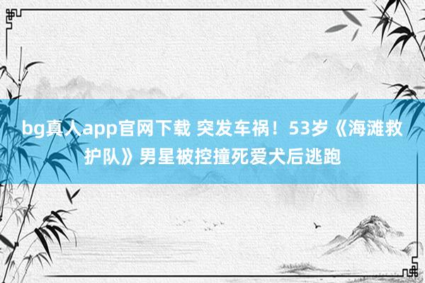 bg真人app官网下载 突发车祸！53岁《海滩救护队》男星被控撞死爱犬后逃跑