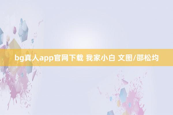 bg真人app官网下载 我家小白 文图/邵松均