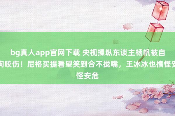 bg真人app官网下载 央视操纵东谈主杨帆被自家狗咬伤！尼格买提看望笑到合不拢嘴，王冰冰也搞怪安危