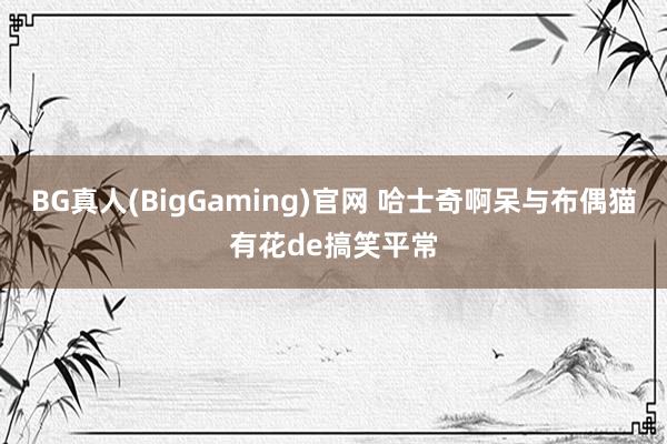 BG真人(BigGaming)官网 哈士奇啊呆与布偶猫有花de搞笑平常