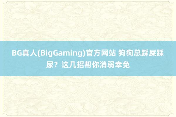 BG真人(BigGaming)官方网站 狗狗总踩屎踩尿？这几招帮你消弱幸免