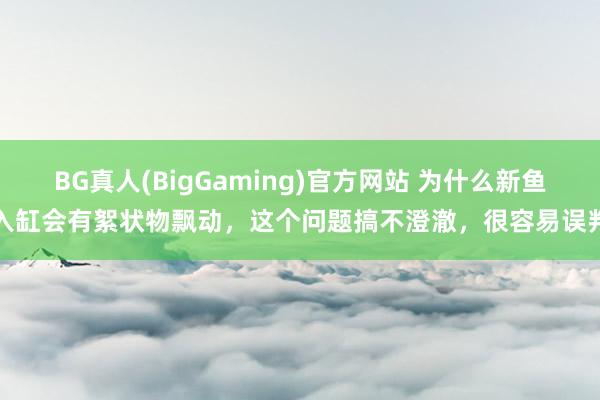 BG真人(BigGaming)官方网站 为什么新鱼入缸会有絮状物飘动，这个问题搞不澄澈，很容易误判