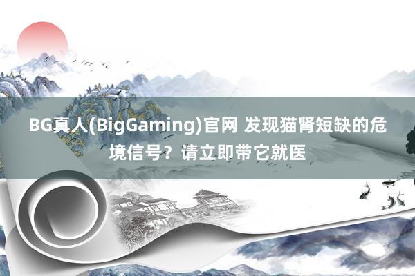 BG真人(BigGaming)官网 发现猫肾短缺的危境信号？请立即带它就医
