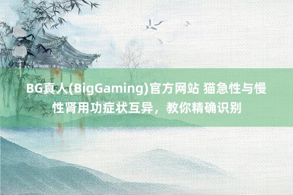 BG真人(BigGaming)官方网站 猫急性与慢性肾用功症状互异，教你精确识别