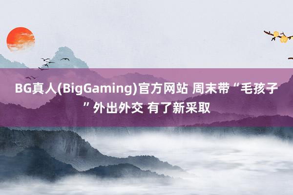 BG真人(BigGaming)官方网站 周末带“毛孩子”外出外交 有了新采取