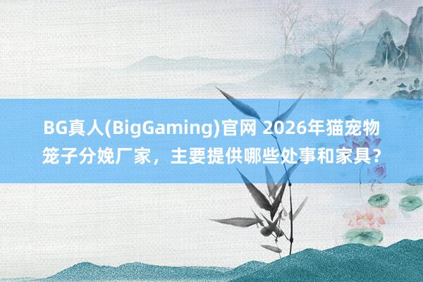 BG真人(BigGaming)官网 2026年猫宠物笼子分娩厂家，主要提供哪些处事和家具？