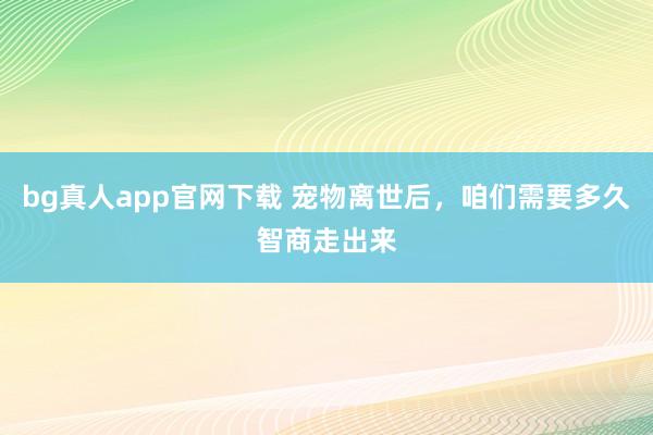 bg真人app官网下载 宠物离世后，咱们需要多久智商走出来
