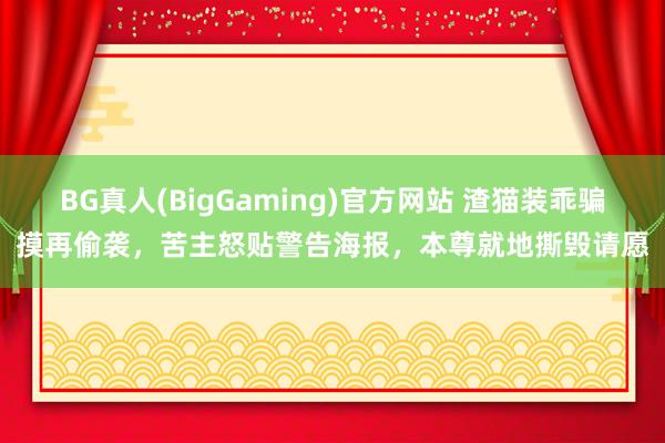 BG真人(BigGaming)官方网站 渣猫装乖骗摸再偷袭，苦主怒贴警告海报，本尊就地撕毁请愿