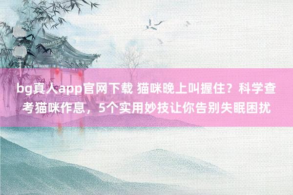 bg真人app官网下载 猫咪晚上叫握住？科学查考猫咪作息，5个实用妙技让你告别失眠困扰
