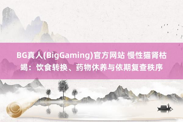 BG真人(BigGaming)官方网站 慢性猫肾枯竭：饮食转换、药物休养与依期复查秩序