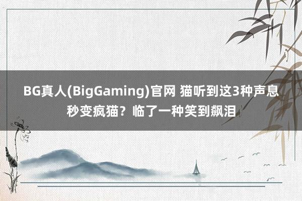 BG真人(BigGaming)官网 猫听到这3种声息秒变疯猫？临了一种笑到飙泪