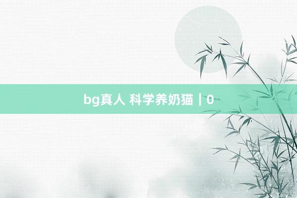 bg真人 科学养奶猫｜0