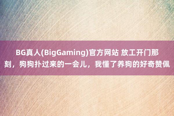 BG真人(BigGaming)官方网站 放工开门那刻，狗狗扑过来的一会儿，我懂了养狗的好奇赞佩