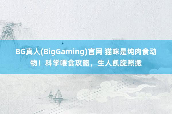 BG真人(BigGaming)官网 猫咪是纯肉食动物！科学喂食攻略，生人凯旋照搬