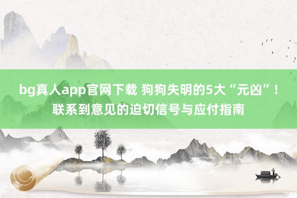 bg真人app官网下载 狗狗失明的5大“元凶”！联系到意见的迫切信号与应付指南
