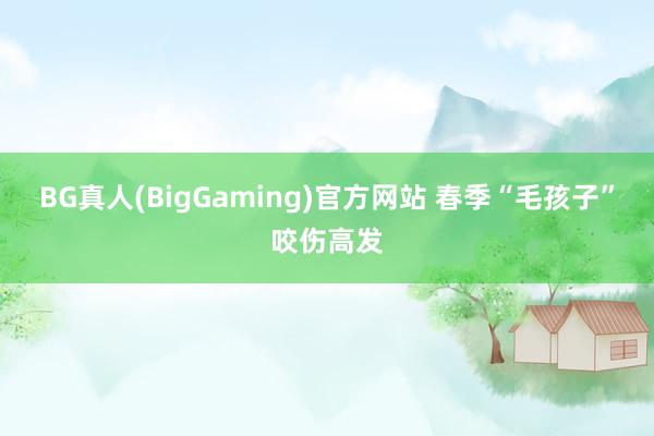 BG真人(BigGaming)官方网站 春季“毛孩子”咬伤高发