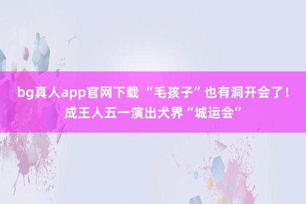 bg真人app官网下载 “毛孩子”也有洞开会了！成王人五一演出犬界“城运会”