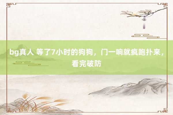 bg真人 等了7小时的狗狗，门一响就疯跑扑来，看完破防