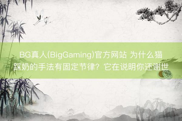 BG真人(BigGaming)官方网站 为什么猫踩奶的手法有固定节律？它在说明你还谢世