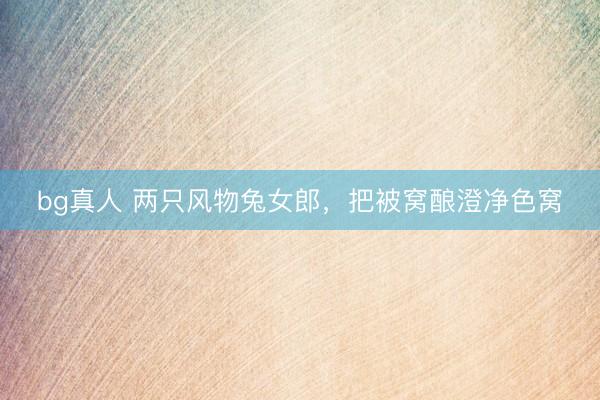 bg真人 两只风物兔女郎，把被窝酿澄净色窝