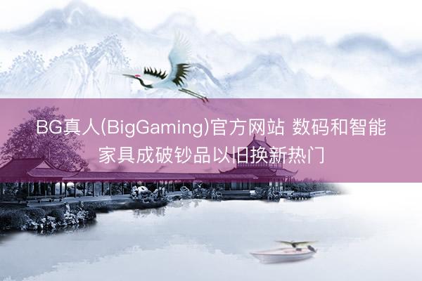 BG真人(BigGaming)官方网站 数码和智能家具成破钞品以旧换新热门
